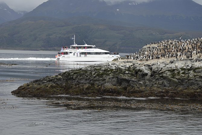 Martillo Island: Boat Trip to the Penguin Colony & Beagle Channel - Who should choose this excursion?
