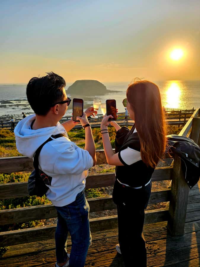 Melbourne: Boutique Phillip Island Wine, Dine & Penguin Tour - The best parts of the day at a glance
