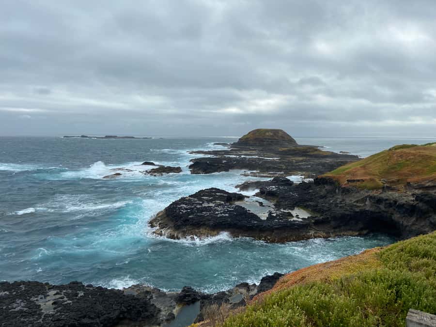 Melbourne: Phillip Island Tour & Penguin Parade - Transport takes patience and a little planning