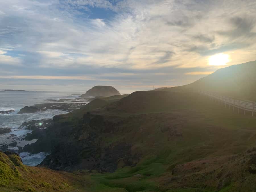 Melbourne: Phillip Island Tour & Penguin Parade - Moonlit Sanctuary puts Australian animals up close