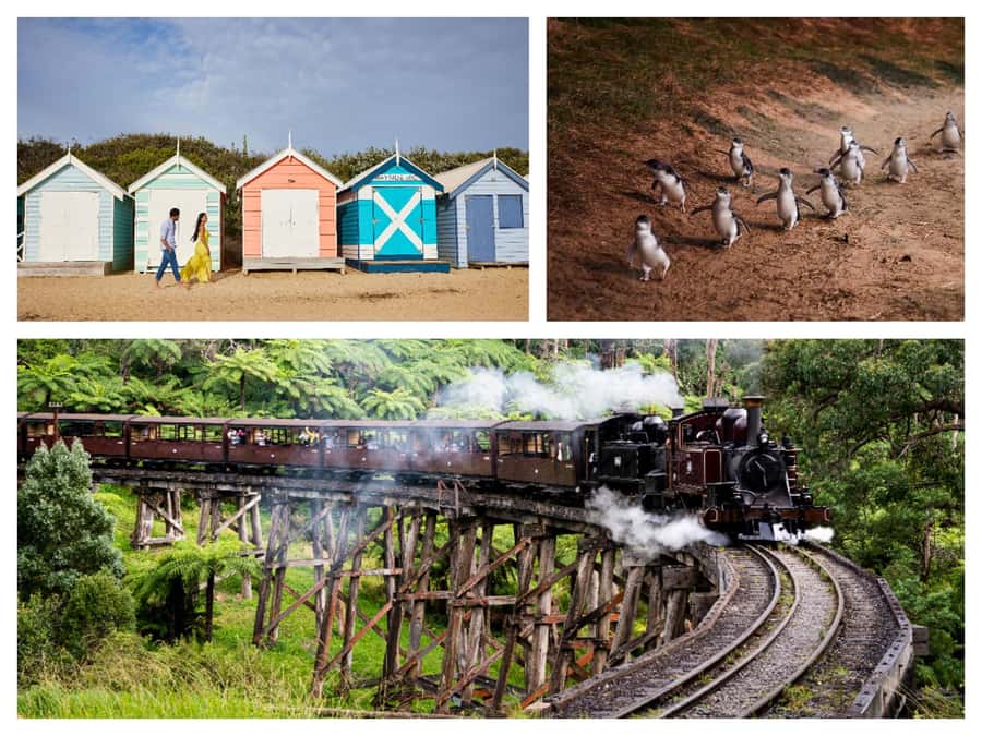 Melbourne: Puffing Billy Penguin Parade Brighton Boxes Tour - Key points before you book
