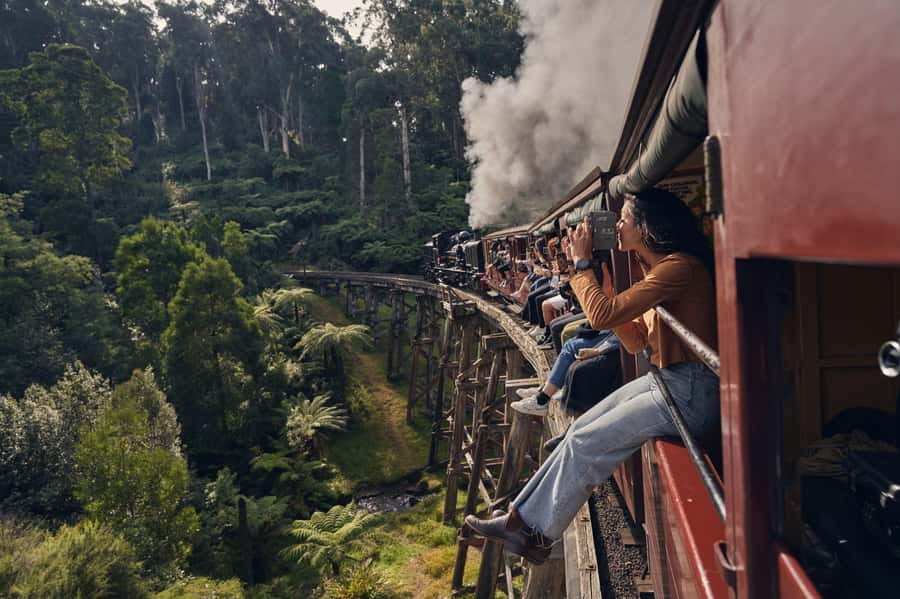 Melbourne: Puffing Billy Penguin Parade Brighton Boxes Tour - Is AUD $140 good value?