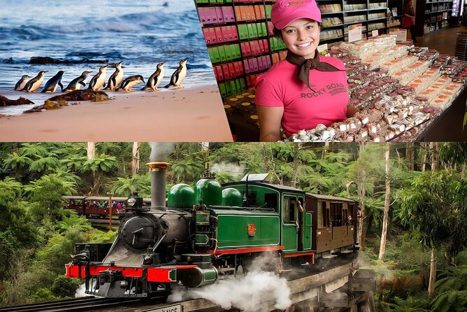 Melbourne Puffing Billy Penguin wine choc(16 max) Hotel Pick Up - Key points to know before booking