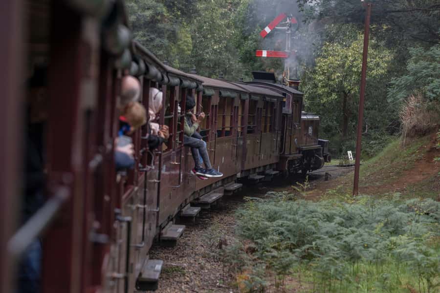 Melbourne: Puffing Billy Railway & Penguin Parade Day Tour - The optional Maru Koala and Animal Park stop