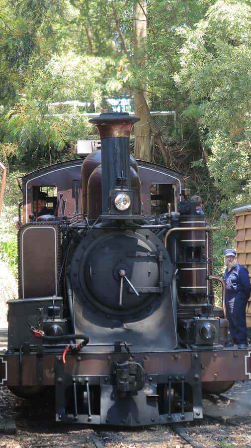 Melbourne: Puffing Billy Train and Penguin Island Day Tour - Two famous Victorian sights in one long day