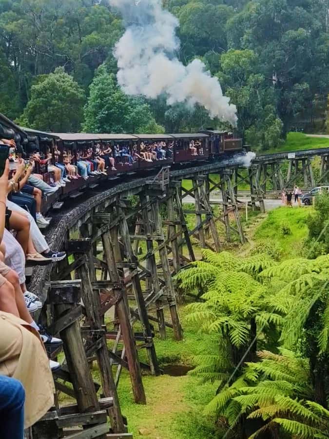 Melbourne: Puffing Billy Train and Penguin Island Day Tour - Puffing Billy: a short ride with old-fashioned charm
