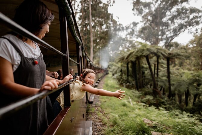 Melbourne Puffing Billy Train and Penguin Parade Day Tour Escape - Why this day combines two Melbourne favorites