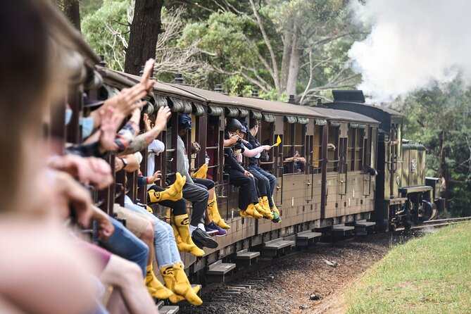 Melbourne Puffing Billy Train and Penguin Parade Day Tour Escape - Maru Koala and Animal Park adds close wildlife time