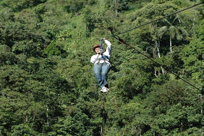 MINDO CLOUD FOREST - Nature & Birds - Personalized Experience - Lunch in Mindo and the cost of extras