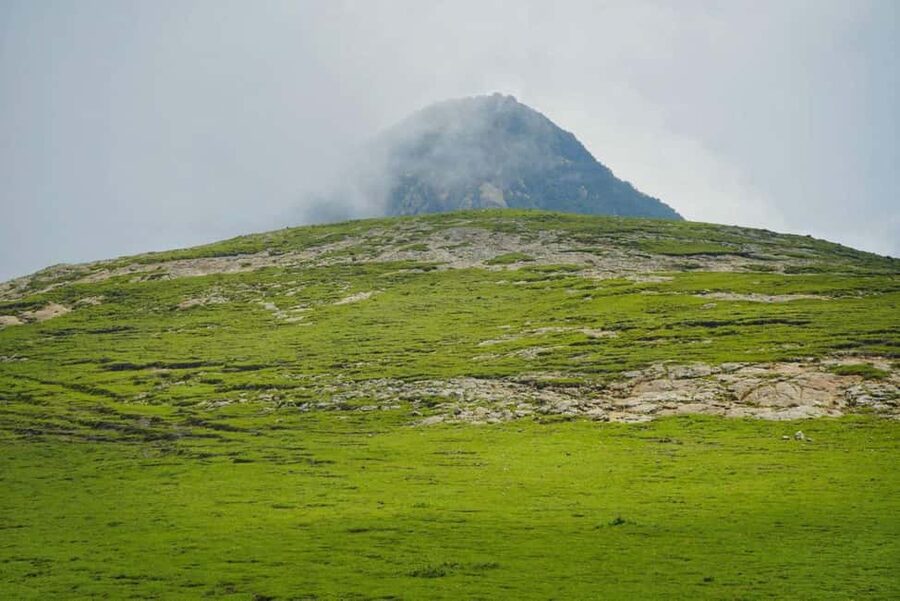 Mogle Mountain Hiking For Birding, Natures From Addis Ababa - Birdwatching among Ethiopian highland species