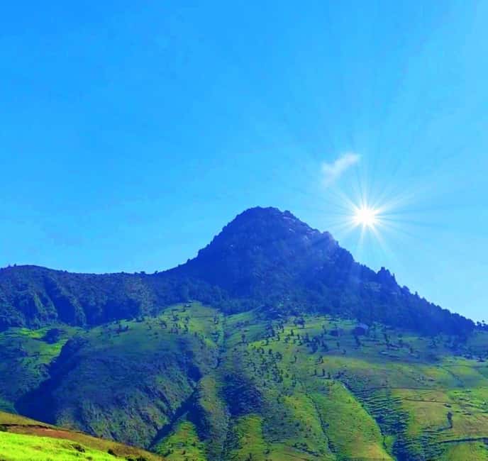 Mogle Mountain Hiking For Birding, Natures From Addis Ababa - The two-hour climb toward Mount Mogle