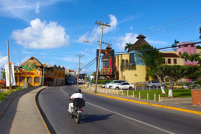 Montego Bay City Highlights & Bird Sanctuary & Shopping - What the private format changes