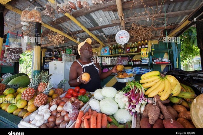 Montego Bay City Highlights & Bird Sanctuary & Shopping - Transportation, comfort, and practical timing