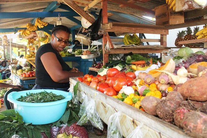 Montego Bay City Highlights & Bird Sanctuary & Shopping - Who should book this experience