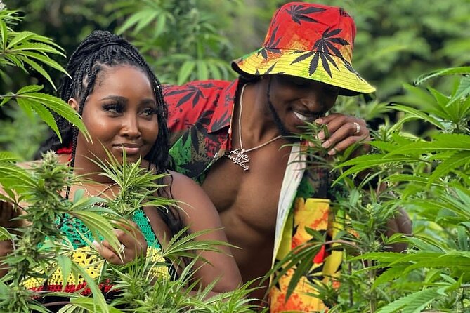 Montego Bay Exotic Herbs, Birds and Animals Interaction Tour - Key details before you book