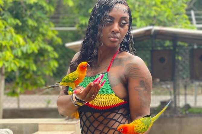 Montego Bay Exotic Herbs, Birds and Animals Interaction Tour - Ironshore gives the tour a local, easygoing feel
