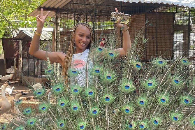 Montego Bay Exotic Herbs, Birds and Animals Interaction Tour - The farm activity adds more than a photo stop