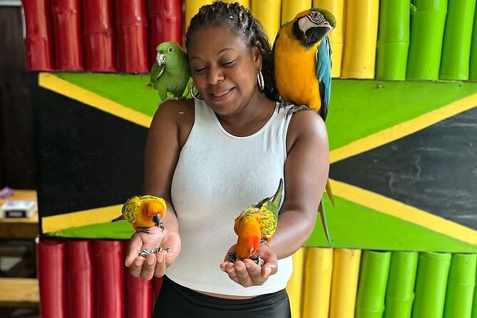 Montego Bay Exotic Herbs, Birds and Animals Interaction Tour - Is $95 per person fair value?