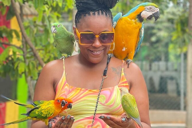 Montego Bay Exotic Herbs, Birds and Animals Interaction Tour - The animal encounter is the heart of the experience