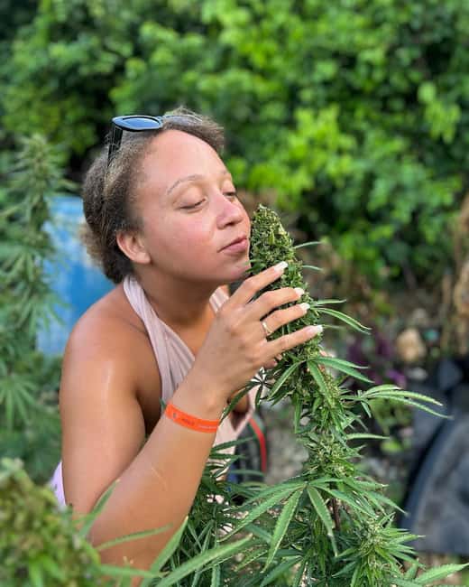 Montego Bay: Marijuana Farm and Bird Sanctuary Tour - What this Montego Bay outing actually offers