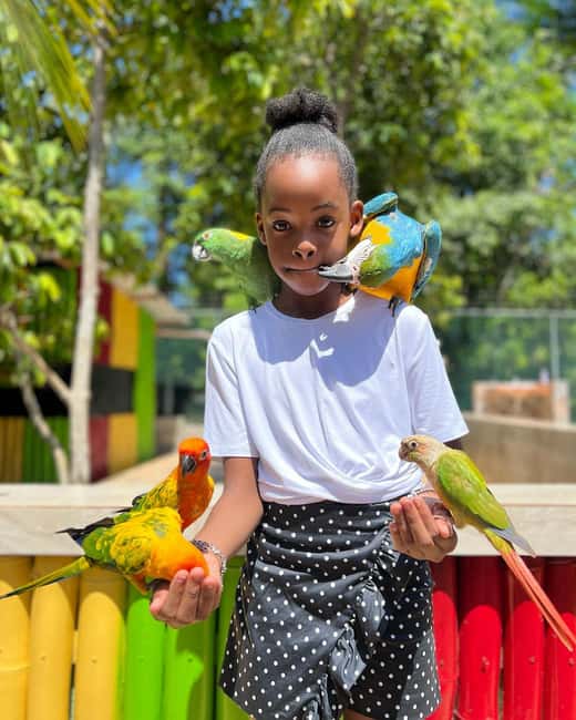 Montego Bay: Marijuana Farm and Bird Sanctuary Tour - Meeting the exotic birds