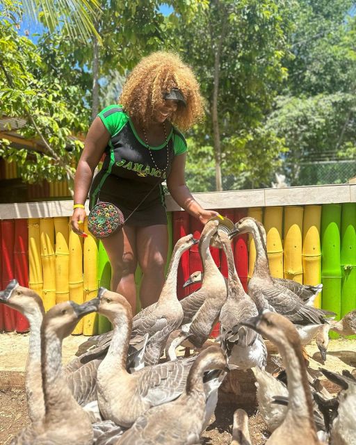 Montego Bay: Marijuana Farm and Bird Sanctuary Tour - Who will enjoy this unusual combination