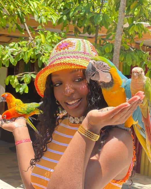 Montego Bay: Marijuana Farm and Bird Sanctuary Tour - Booking tips that can save you trouble