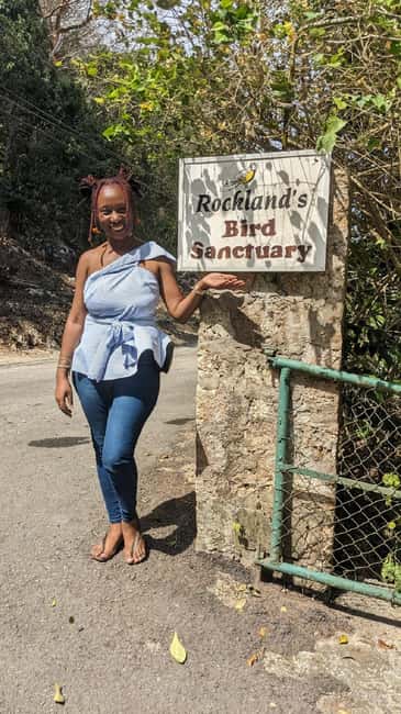 Montego Bay: Private Rocklands Bird Sanctuary Trip - From Montego Bay to Anchovy by private car