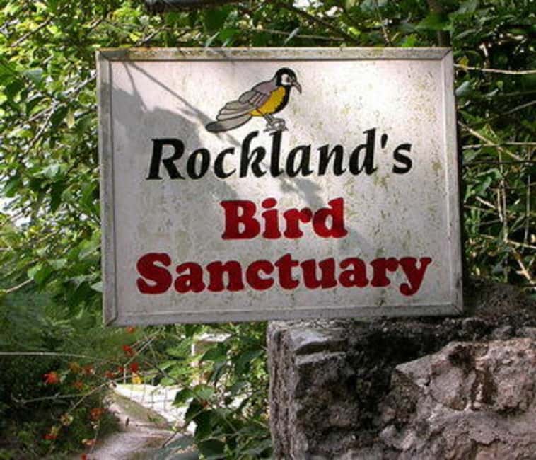 Montego Bay: Private Rocklands Bird Sanctuary Trip - What the $94 price really covers