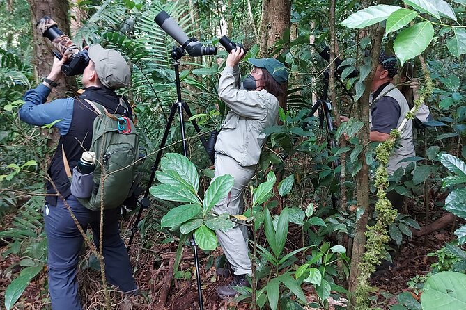 Monteverde Birdwatching Experience - Why an early morning in Curi-Cancha works so well