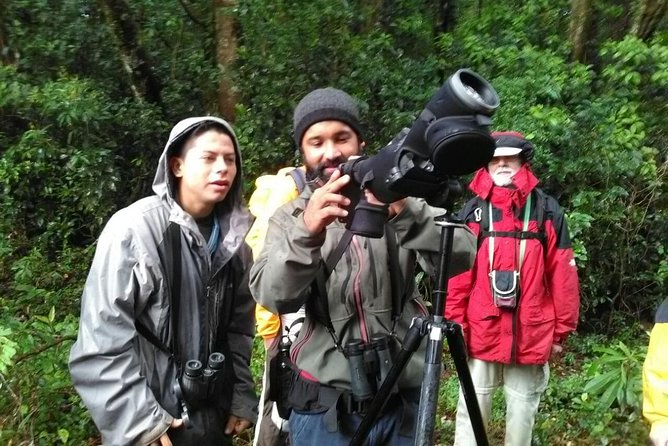 Monteverde Birdwatching Experience - Beginners can join, but children may find it slow