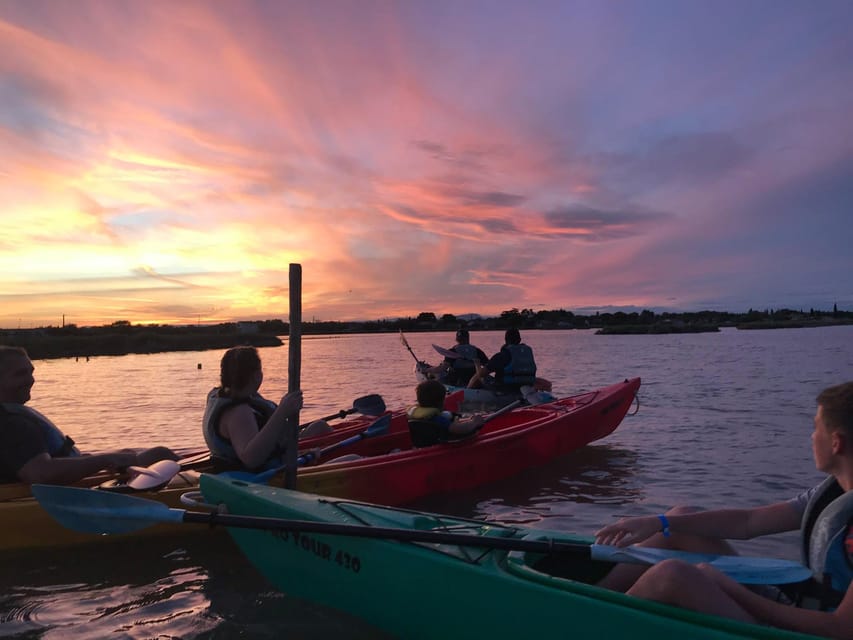 Montpellier : Birdwatching by kayak in the Camargue - Key Details Before You Paddle