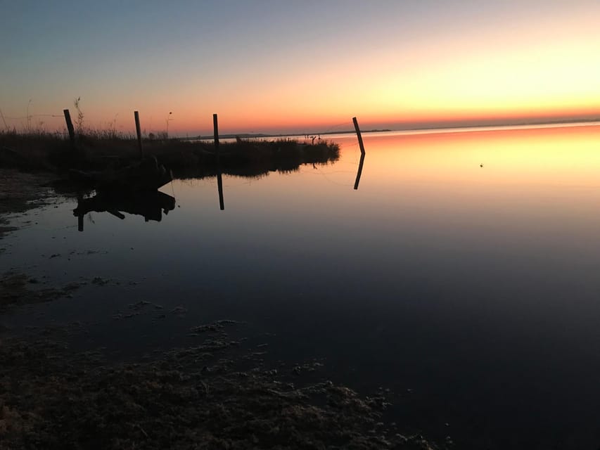 Montpellier : Birdwatching by kayak in the Camargue - Practical Tips for a Better Two Hours