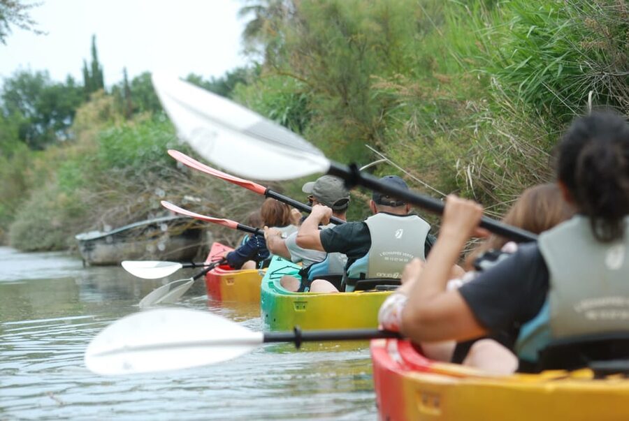Montpellier : Birdwatching by kayak in the Camargue - Why This Camargue Lagoon Trip Is Different