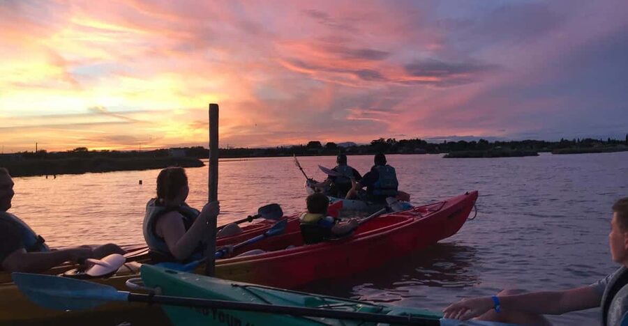 Montpellier : Birdwatching by kayak in the Camargue - The First Paddle Into the Lagoon