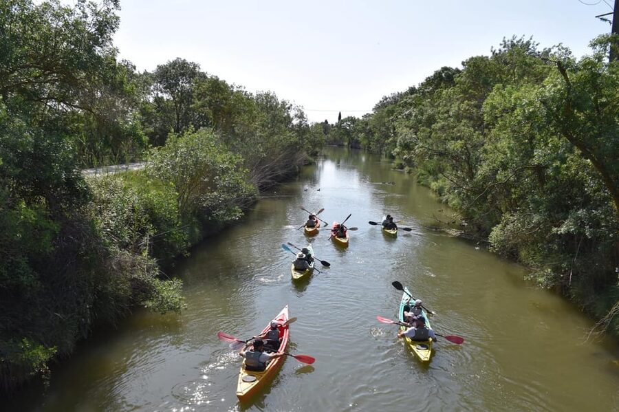 Montpellier : Birdwatching by kayak in the Camargue - Choosing Morning or Sunset