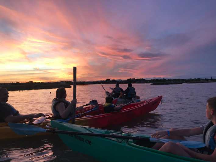 Montpellier : Birdwatching by kayak in the Camargue - Finding the Base and Getting Ready