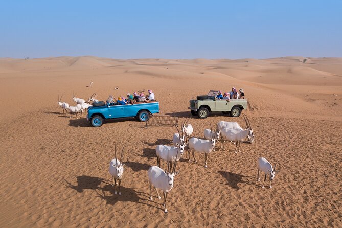 Morning Falconry & Nature Desert Safari with Transfers from Dubai - How the $166.07 price measures up