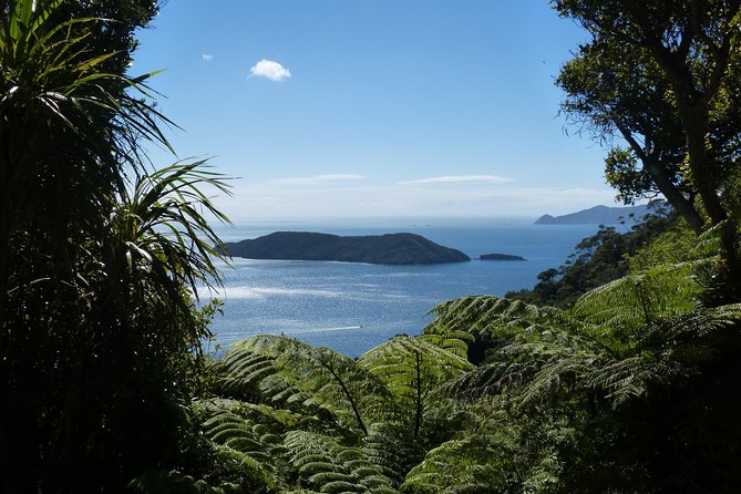 Motuara Island Bird Sanctuary and Ship Cove Cruise from Picton - From Picton to the quiet arms of Queen Charlotte Sound