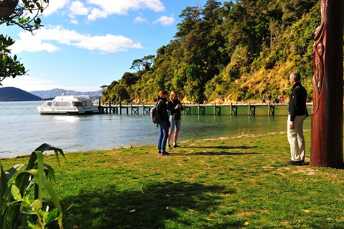 Motuara Island Bird Sanctuary and Ship Cove Cruise from Picton - The practical details that affect your morning