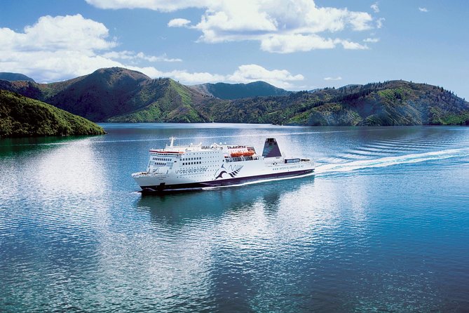 Motuara Island Bird Sanctuary and Ship Cove Cruise from Picton - Should you book Motuara and Ship Cove?