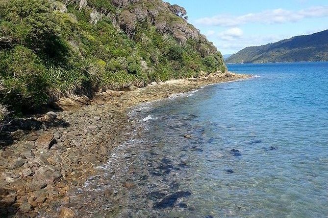 Motuara Island Bird Sanctuary and Ship Cove Cruise from Picton - FAQ