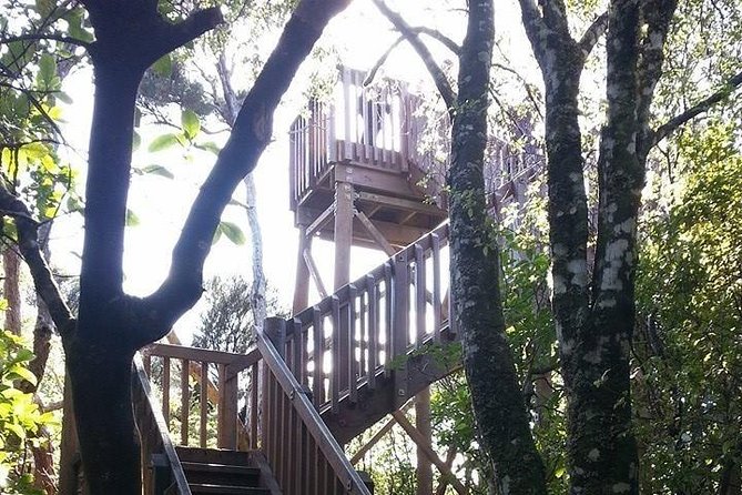 Motuara Island Bird Sanctuary and Ship Cove Cruise from Picton - Motuara Island and the uphill lookout