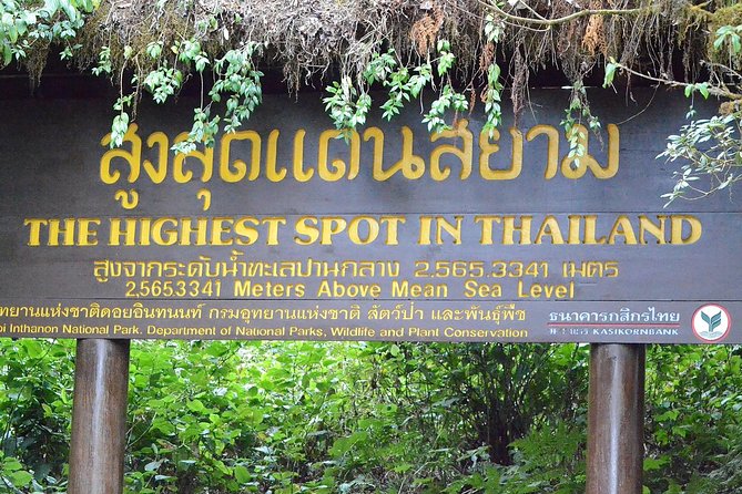 Mount Doi Inthanon Hiking & Bird Watching - Lunch, local scenery, and the return journey