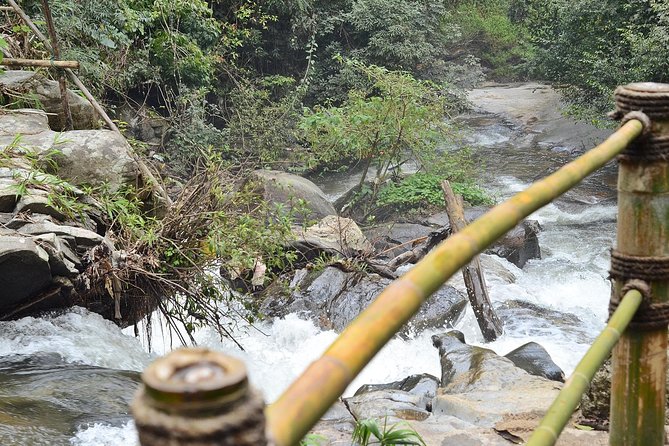 Mount Doi Inthanon Hiking & Bird Watching - Is $152.50 good value?