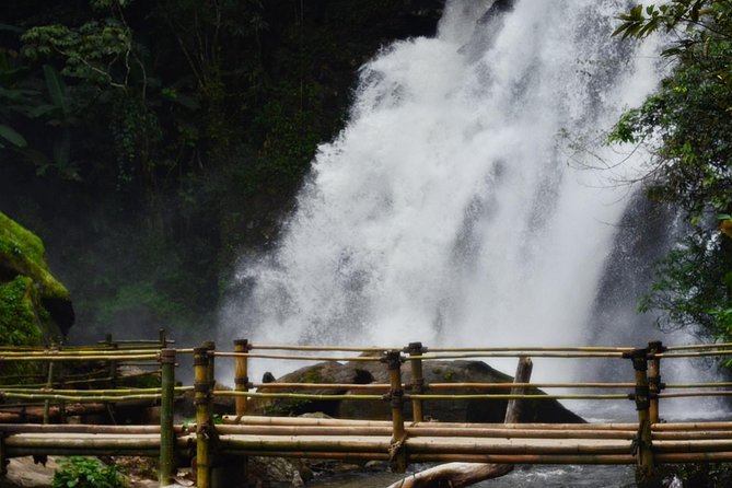 Mount Doi Inthanon Hiking & Bird Watching - Who should book this experience?