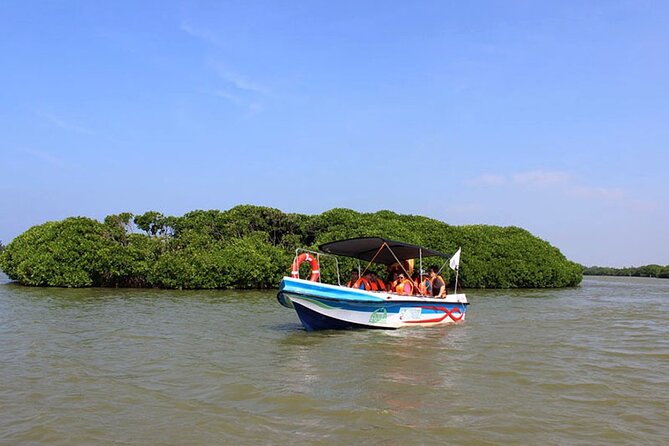 Muthurajawela Bird Watching Tour from Negombo / Colombo - Key points to know before booking