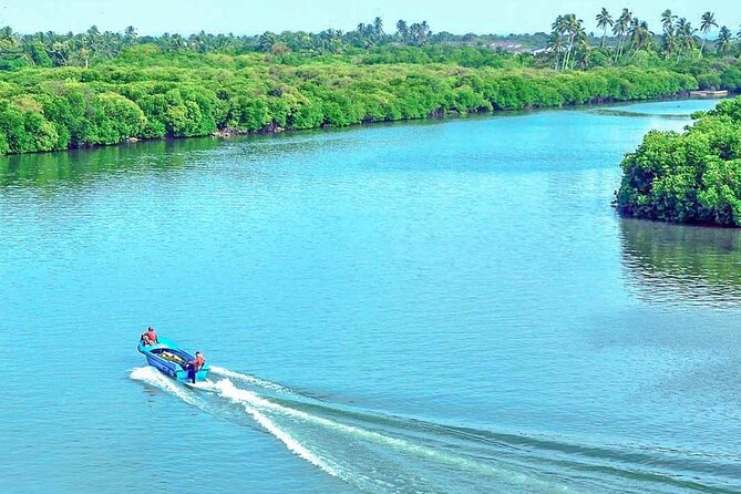 Muthurajawela Bird Watching Tour from Negombo / Colombo - The 7:00 am pickup from Colombo or Negombo