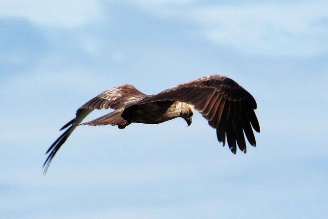 Muthurajawela Bird Watching Tour from Negombo / Colombo - Reaching the wetland and getting ready