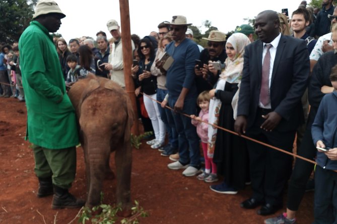 Nairobi park, steamark birds, Girraffe center & bomas - Bomas of Kenya, music and traditional homes